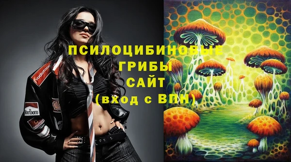 Альфа ПВП Майский