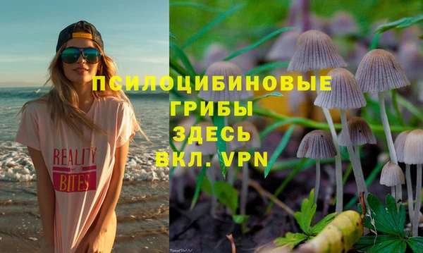 Альфа ПВП Майский