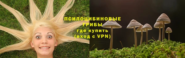 эйфоретик Магадан