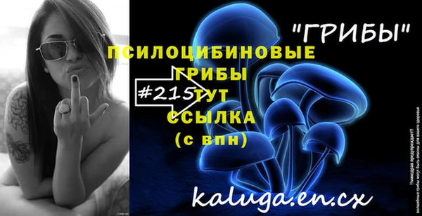 эйфоретик Магадан